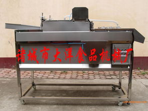 果蔬清洗去雜機,果蔬清洗去雜機生產廠家,果蔬清洗去雜機價格