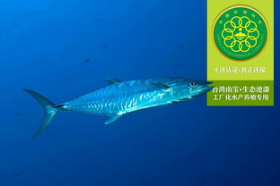 工廠化水產養殖專用漆的生態簡介