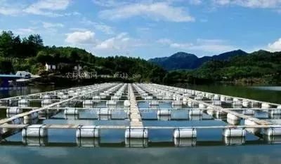 水產養殖業如何實現綠色發展 路徑、挑戰與未來展望