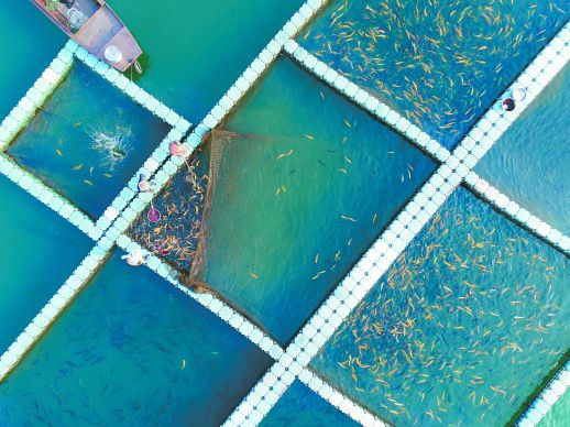 資興 冷水魚養殖富民 水產養殖譜新篇