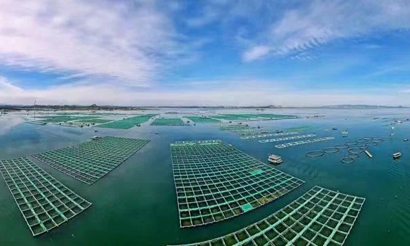 福建漳州 創新多樣化海水養殖模式，鍛造百億級現代漁業新格局