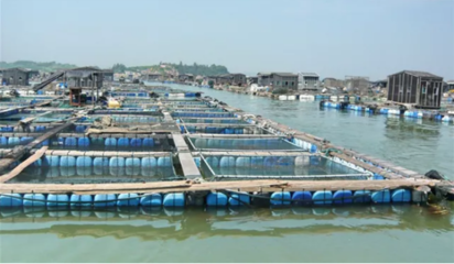 喜訊！饒平縣水產養殖區成功獲評省級示范區